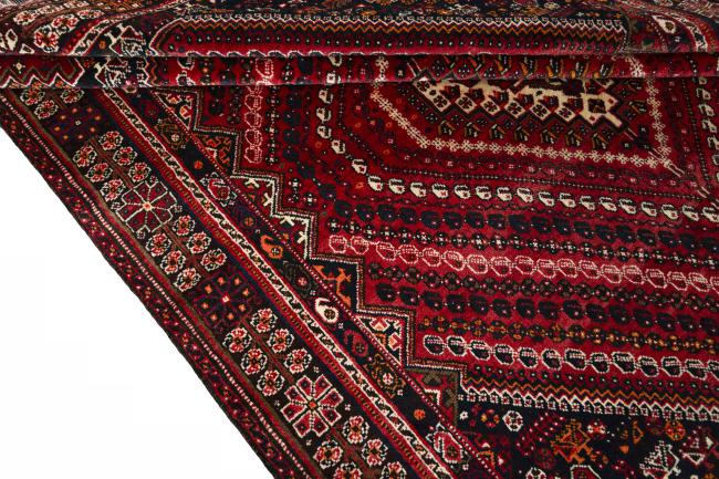 Shiraz - 8