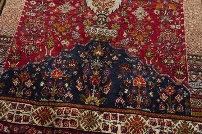 Shiraz - 9