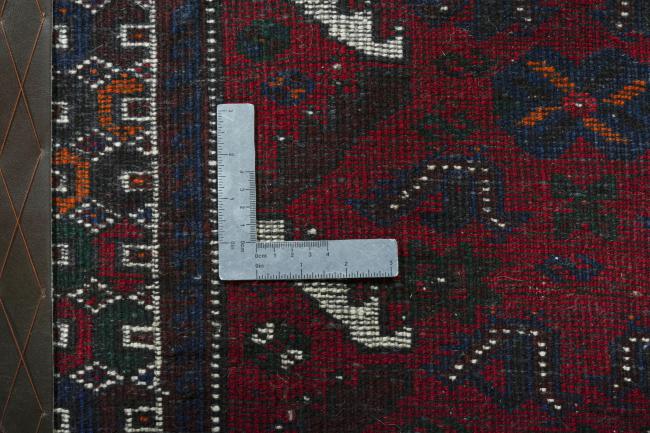 Shiraz - 4