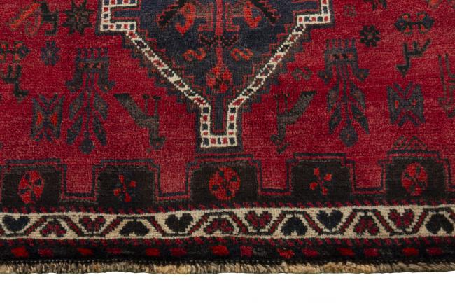 Shiraz - 5