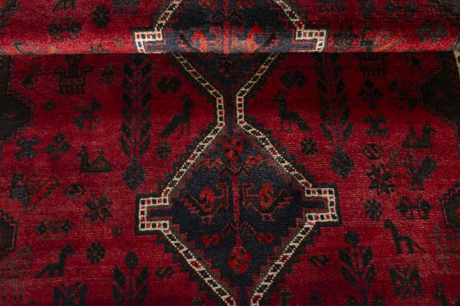 Shiraz - 7