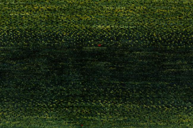 Persia Gabbeh Loribaft Atash - 7