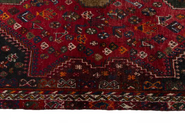 Shiraz - 5