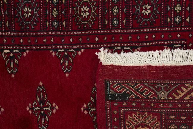 Pakistan Buchara 3ply - 1