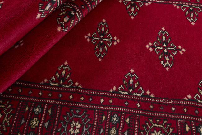 Pakistan Buchara 3ply - 2