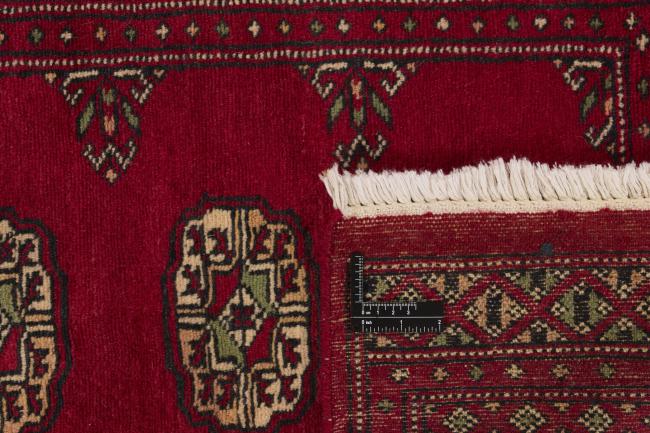 Pakistan Buchara 2ply - 1
