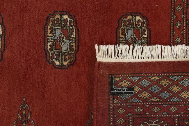 Pakistan Buchara 3ply - 1