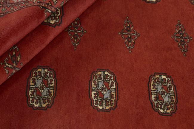 Pakistan Buchara 3ply - 2
