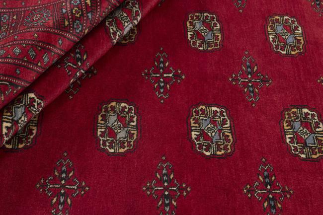 Pakistański Buchara 3ply - 2