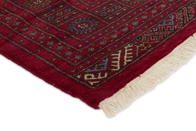 Pakistański Buchara 3ply - 3