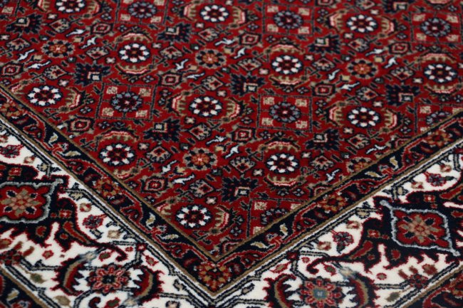 Indo Bidjar - 3