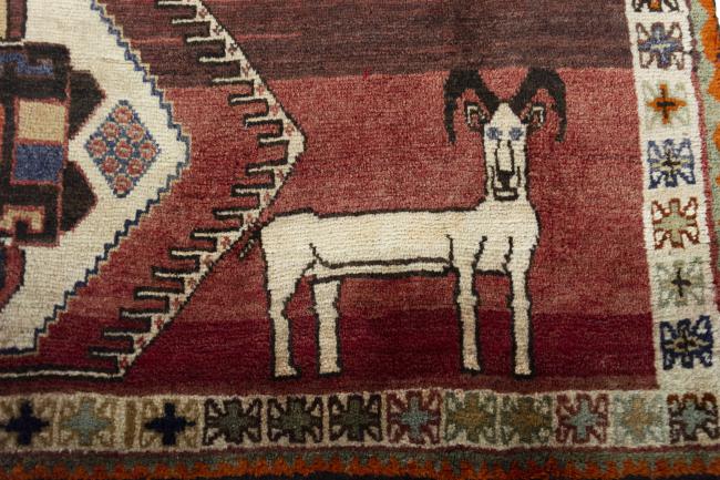 Shiraz - 4