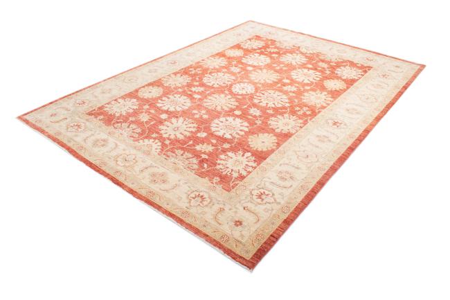 Ziegler Farahan - 2