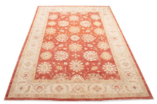 Ziegler Farahan - 3