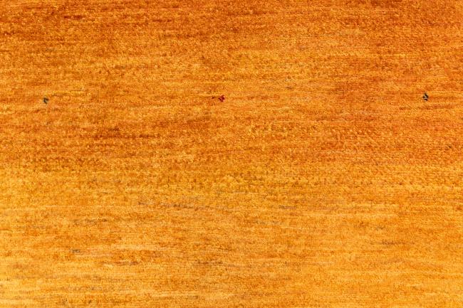 Persja Gabbeh Loribaft Atash - 7