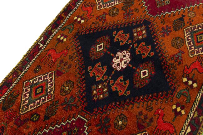 Shiraz - 4