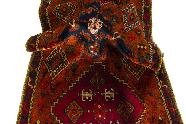 Shiraz - 9
