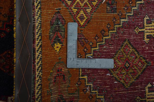 Shiraz - 10