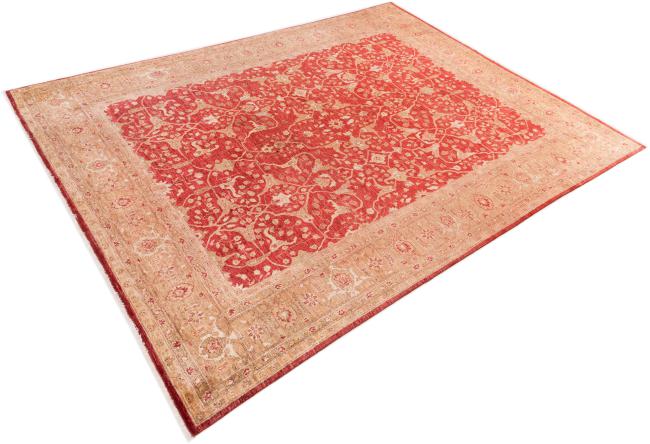 Ziegler Farahan - 2