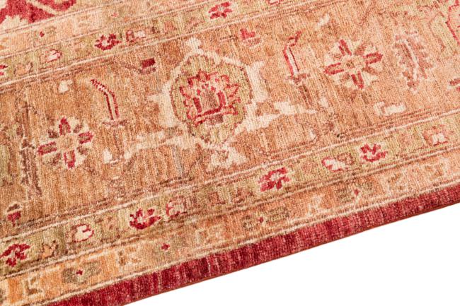 Ziegler Farahan - 4