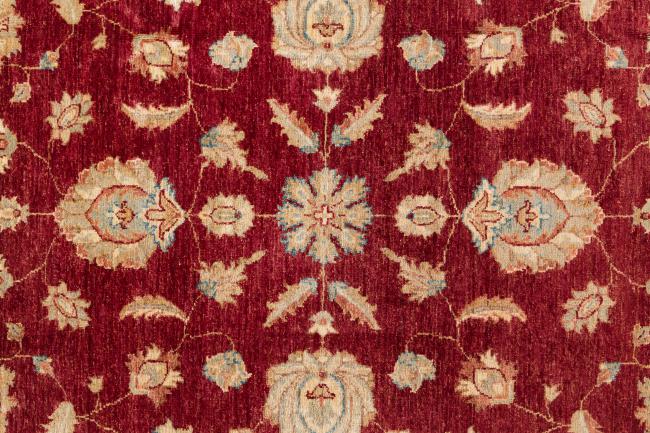 Ziegler Farahan - 7