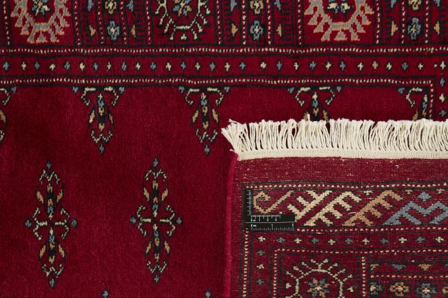Pakistan Buchara 3ply - 1