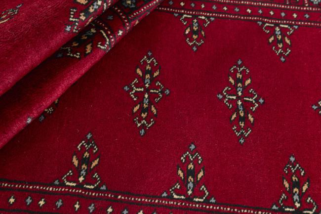 Pakistan Buchara 3ply - 2