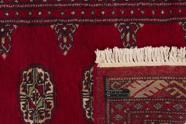 Pakistan Buchara 2ply - 1