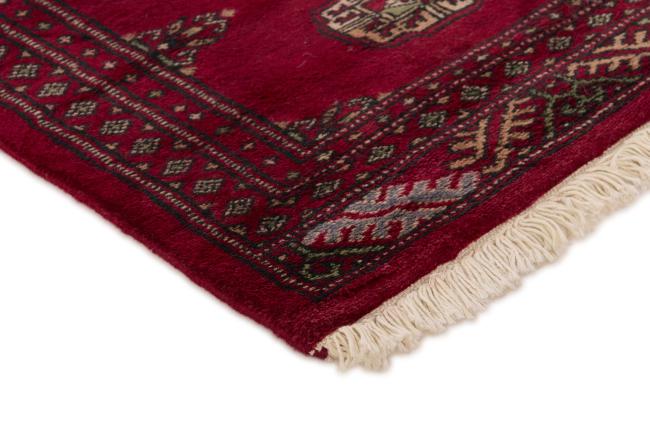 Pakistan Buchara 2ply - 3