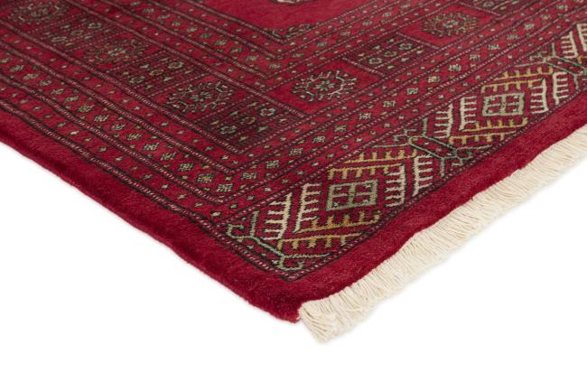 Pakistański Buchara 3ply - 3