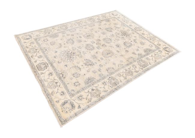 Ziegler Farahan - 2