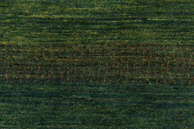 Persja Gabbeh Loribaft Atash - 7