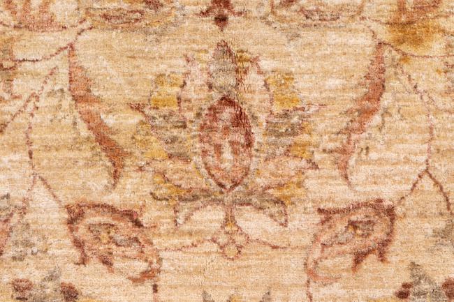 Ziegler Farahan - 7