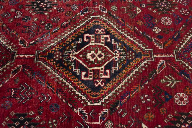 Shiraz - 5