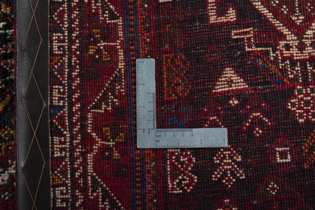 Shiraz - 10