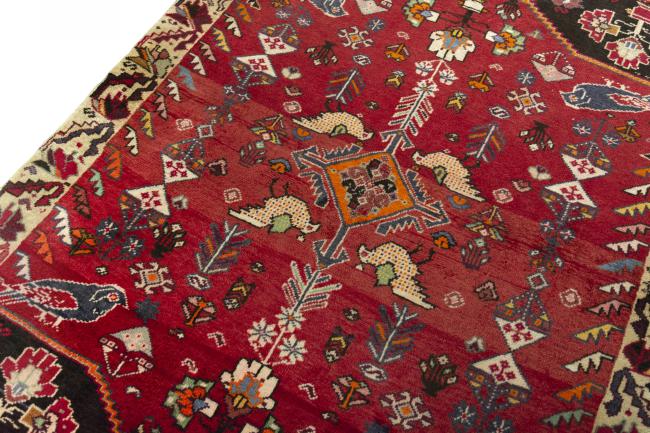 Shiraz - 4