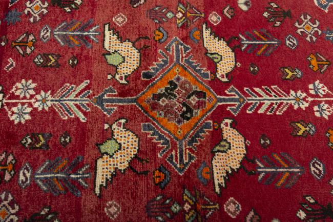 Shiraz - 5