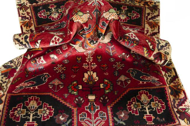 Shiraz - 9