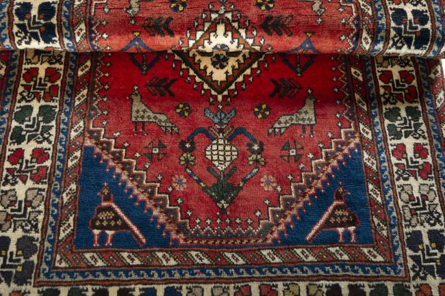 Shiraz - 8