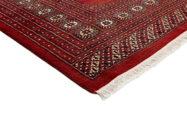 Pakistan Buchara 2ply - 3