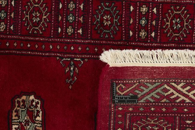 Pakistan Buchara 3ply - 1