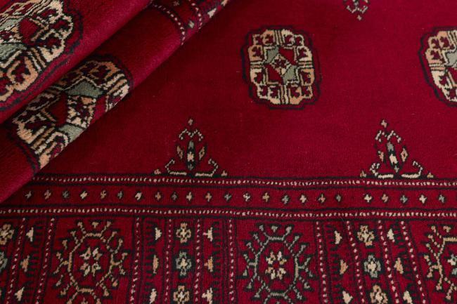 Pakistan Buchara 3ply - 2