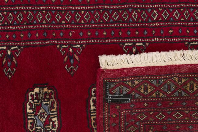 Pakistan Buchara 2ply - 1