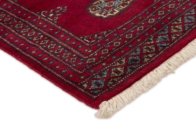 Pakistan Buchara 2ply - 3