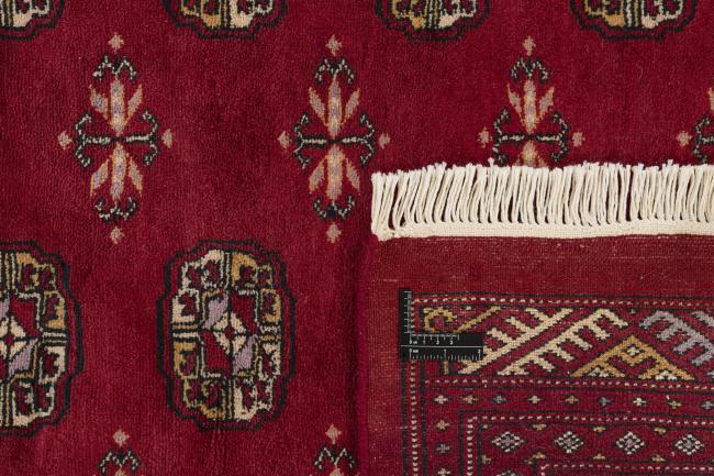 Pakistański Buchara 3ply - 2