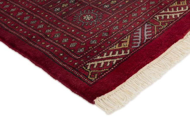 Pakistański Buchara 3ply - 3
