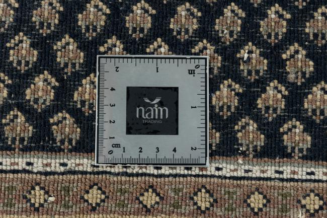 Indo Mir - 11