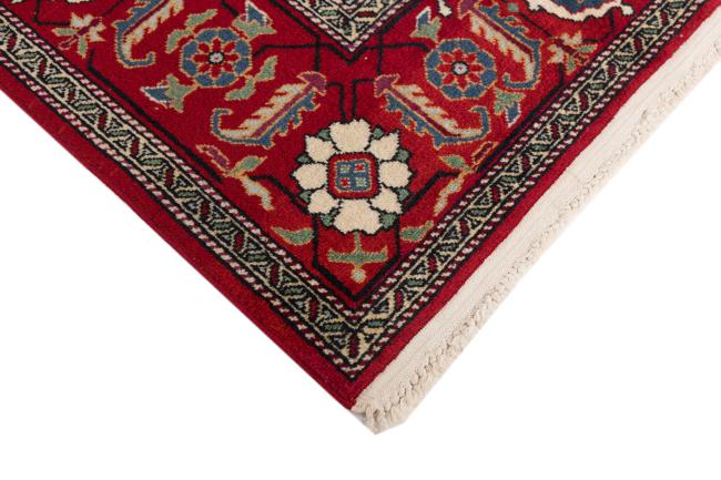 Shirwan - 5