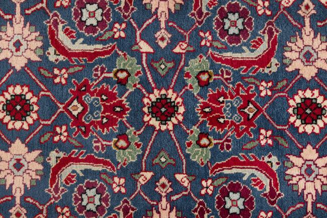 Shirwan - 6