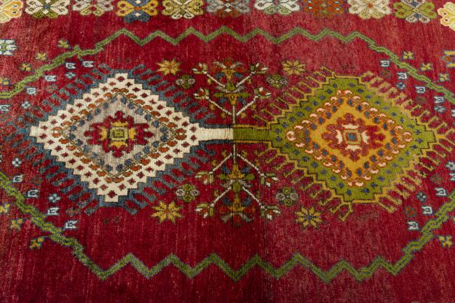 Shiraz - 5